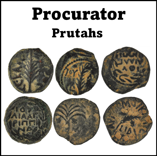 Procurator Coins