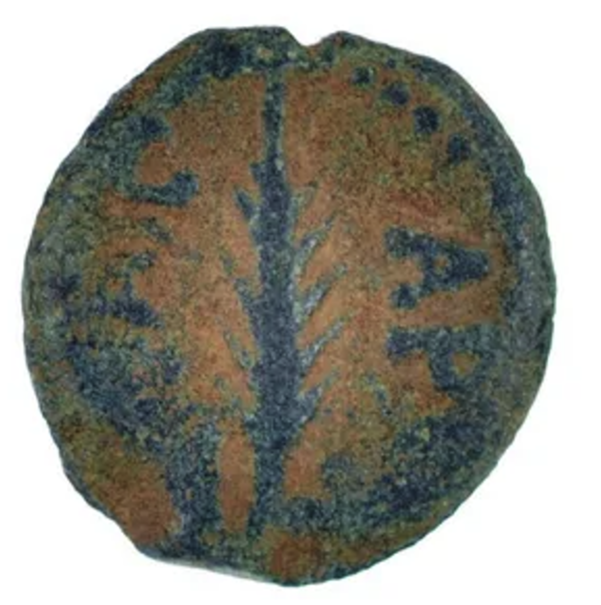 Biblical Prutah Porcius Festus procurator under Nero 59-62 AD (FE23)