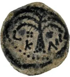 Antonius Felix Shield Prutah Judea procurator Biblical 54-60 AD (FXS13)