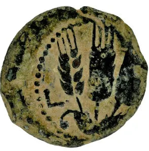 Herod Agrippa Bronze Prutah ACTS12 Year 37-44AD (HA31)