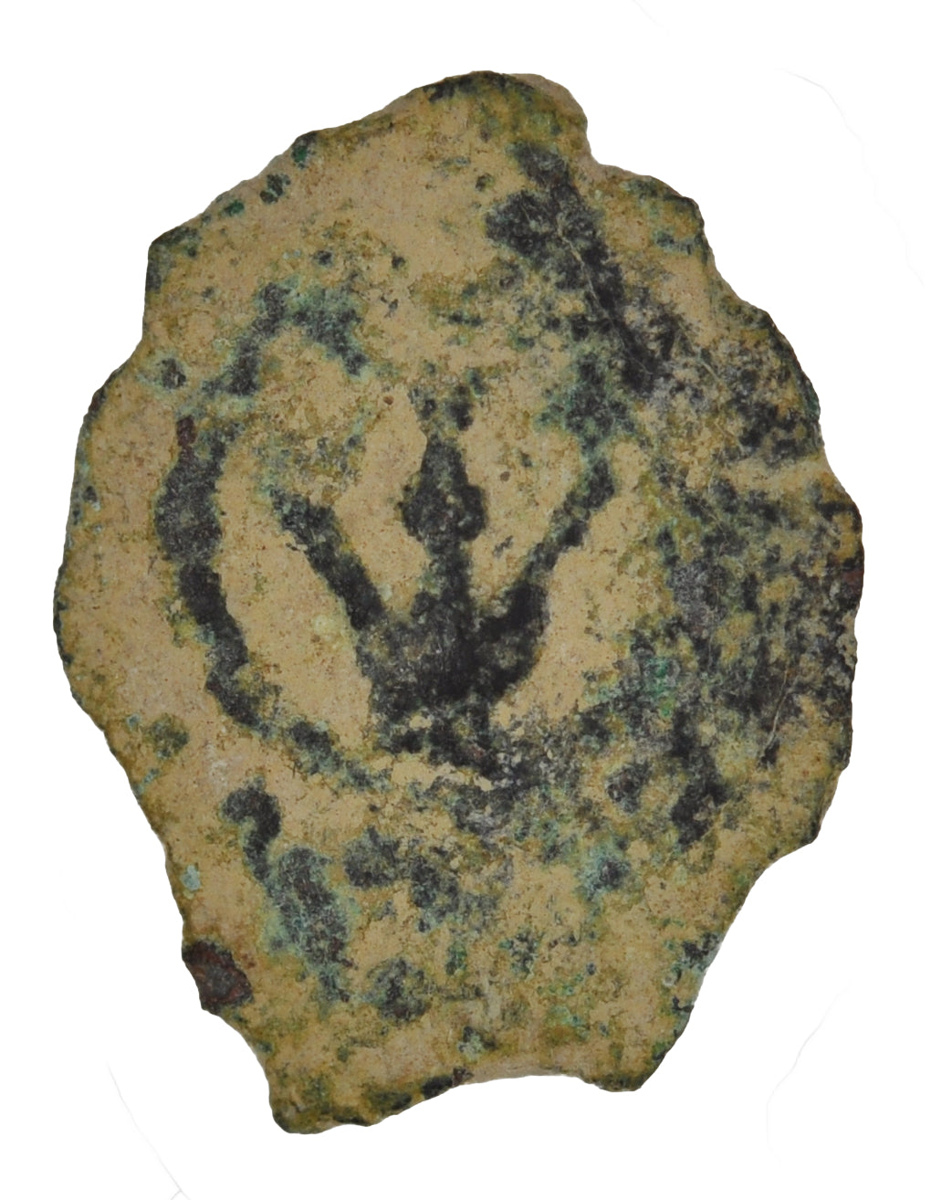 Biblical Ancient Coin ~ Widow's Mite Lepton Jerusalem ~ Luke 21:2 (LP303)