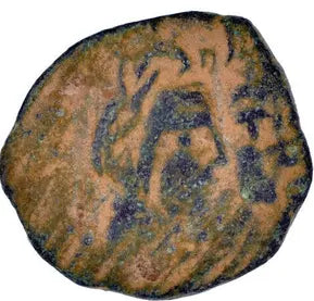 Nabataean Bronze coin of Petra, Shawilat 40-70 AD (NabB120)
