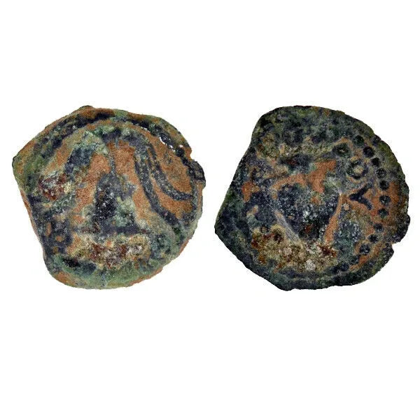 Herod Archelaus Helmet Grapes (Arch14)