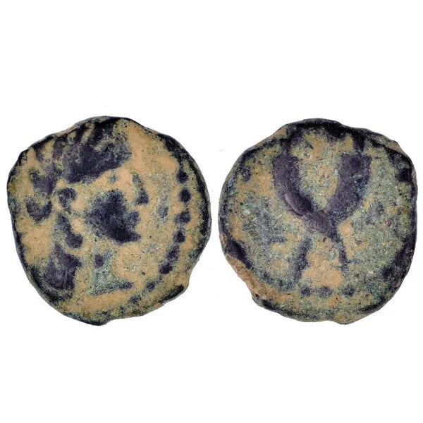 Nabataean Bronze coin of Petra, Aretas IV with Queen Huldu 9-40 AD (NabB132)